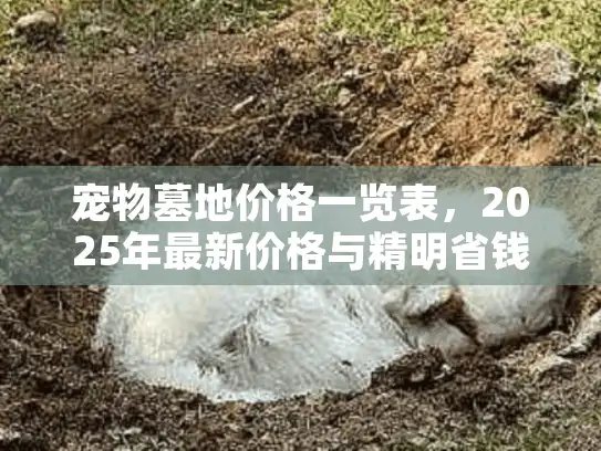 宠物墓地价格一览表,2025年最新价格与精明省钱秘诀 宠物墓地价格一览表,2025年最新价格与精明省钱秘诀