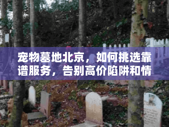 宠物墓地北京，如何挑选靠谱服务，告别高价陷阱和情感遗憾？