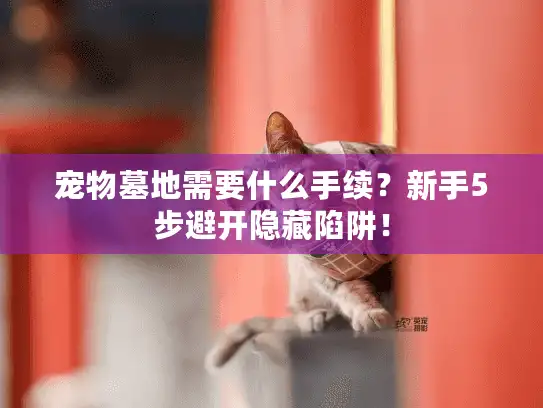 宠物墓地需要什么手续？新手5步避开隐藏陷阱！