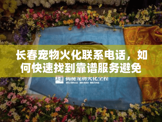 长春宠物火化联系电话，如何快速找到靠谱服务避免陷阱？