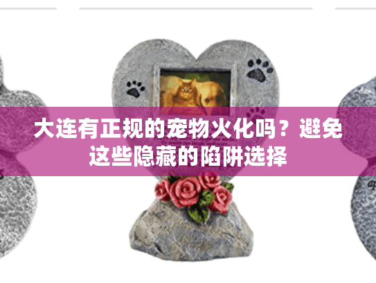 大连有正规的宠物火化吗？避免这些隐藏的陷阱选择