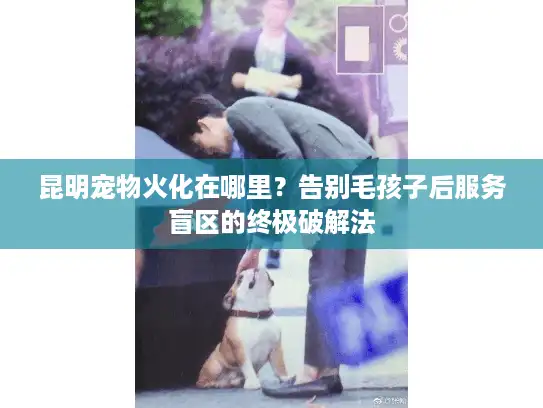 昆明宠物火化在哪里？告别毛孩子后服务盲区的终极破解法