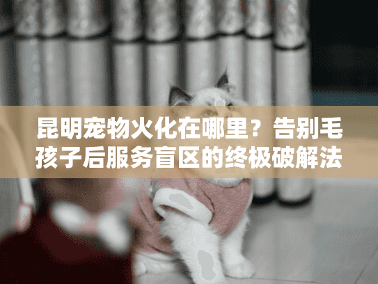 昆明宠物火化在哪里？告别毛孩子后服务盲区的终极破解法