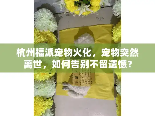杭州福派宠物火化，宠物突然离世，如何告别不留遗憾？