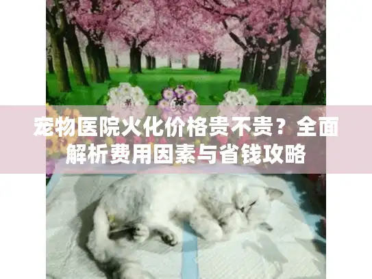 宠物医院火化价格贵不贵?全面解析费用因素与省钱攻略 宠物医院火化价格贵不贵?全面解析费用因素与省钱攻略