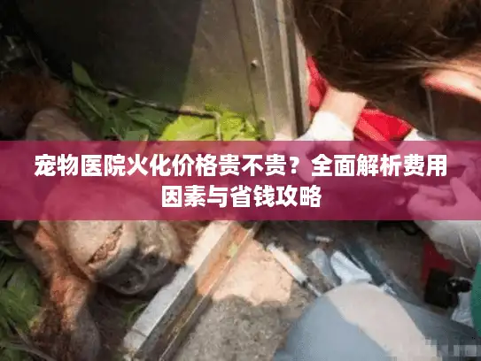 宠物医院火化价格贵不贵?全面解析费用因素与省钱攻略 宠物医院火化价格贵不贵?全面解析费用因素与省钱攻略