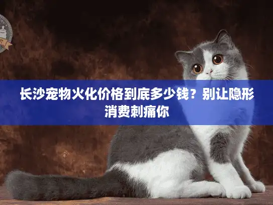 长沙宠物火化价格到底多少钱？别让隐形消费刺痛你