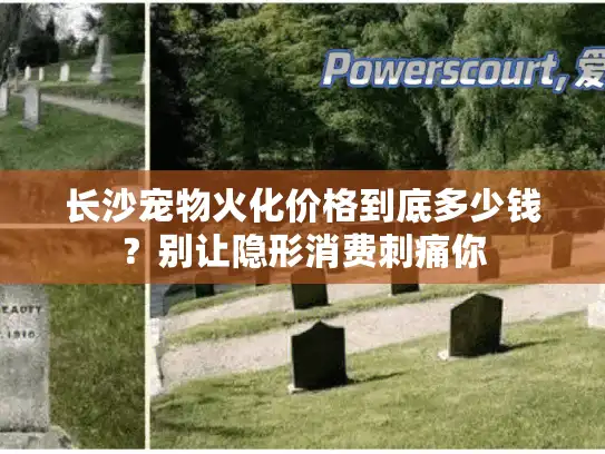 长沙宠物火化价格到底多少钱？别让隐形消费刺痛你