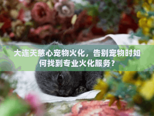大连天慈心宠物火化，告别宠物时如何找到专业火化服务？