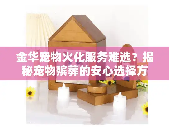金华宠物火化服务难选?揭秘宠物殡葬的安心选择方案 金华宠物火化服务难选?揭秘宠物殡葬的安心选择方案
