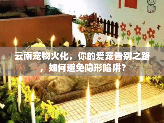 云南宠物火化,你的爱宠告别之路,如何避免隐形陷阱? 云南宠物火化,你的爱宠告别之路,如何避免隐形陷阱?