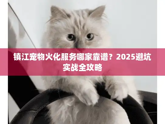 镇江宠物火化服务哪家靠谱？2025避坑实战全攻略
