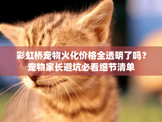 彩虹桥宠物火化价格全透明了吗？宠物家长避坑必看细节清单