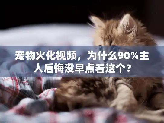 宠物火化视频，为什么90%主人后悔没早点看这个？