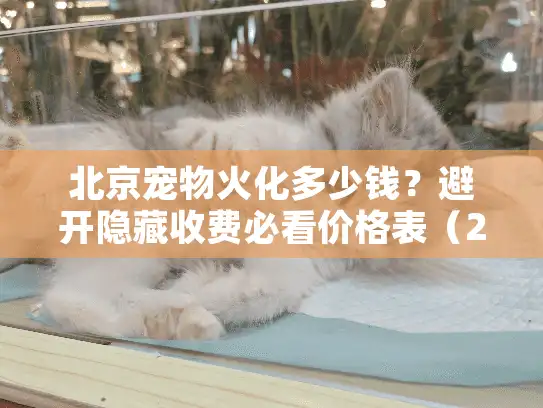 北京宠物火化多少钱？避开隐藏收费必看价格表（2025更新）