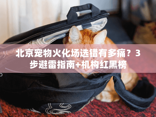 北京宠物火化场选错有多痛?3步避雷指南+机构红黑榜 北京宠物火化场选错有多痛?3步避雷指南+机构红黑榜