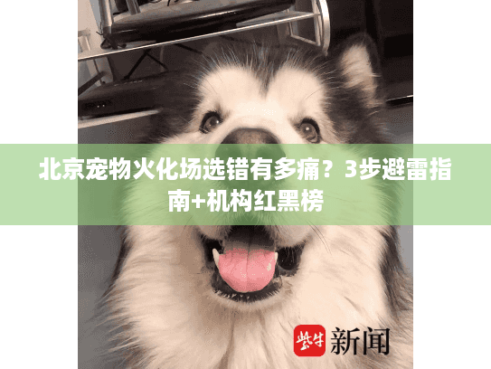 北京宠物火化场选错有多痛?3步避雷指南+机构红黑榜 北京宠物火化场选错有多痛?3步避雷指南+机构红黑榜