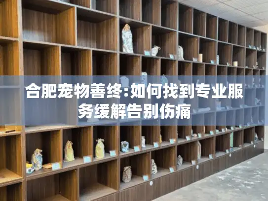 合肥宠物善终:如何找到专业服务缓解告别伤痛