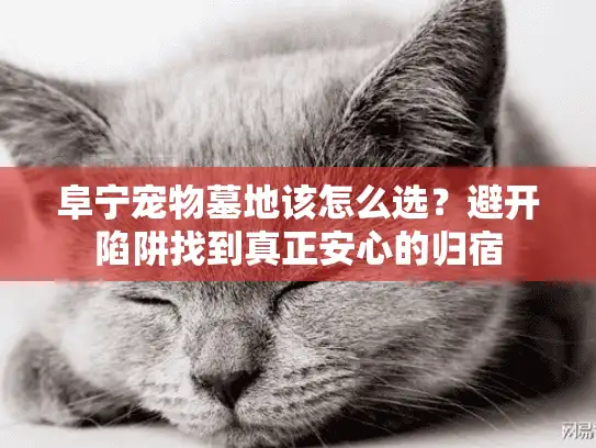 阜宁宠物墓地该怎么选?避开陷阱找到真正安心的归宿 阜宁宠物墓地该怎么选?避开陷阱找到真正安心的归宿