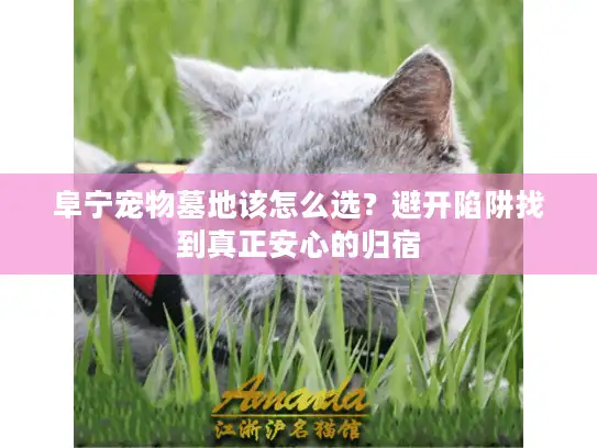 阜宁宠物墓地该怎么选?避开陷阱找到真正安心的归宿 阜宁宠物墓地该怎么选?避开陷阱找到真正安心的归宿