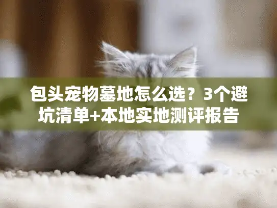 包头宠物墓地怎么选？3个避坑清单+本地实地测评报告