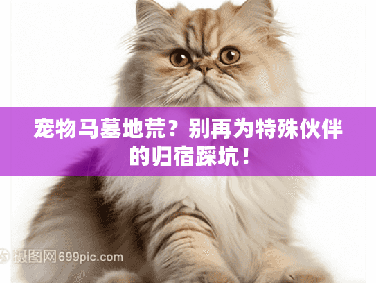 宠物马墓地荒？别再为特殊伙伴的归宿踩坑！