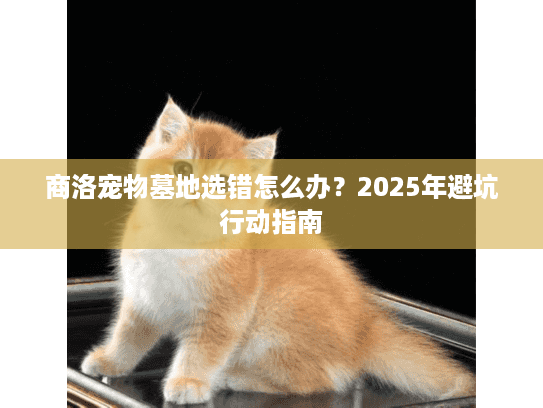 商洛宠物墓地选错怎么办？2025年避坑行动指南