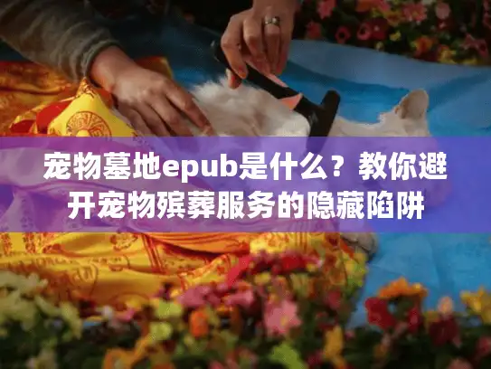 宠物墓地epub是什么？教你避开宠物殡葬服务的隐藏陷阱