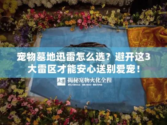 宠物墓地迅雷怎么选？避开这3大雷区才能安心送别爱宠！