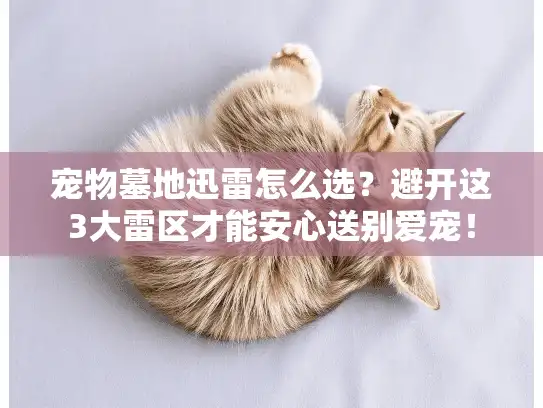 宠物墓地迅雷怎么选？避开这3大雷区才能安心送别爱宠！