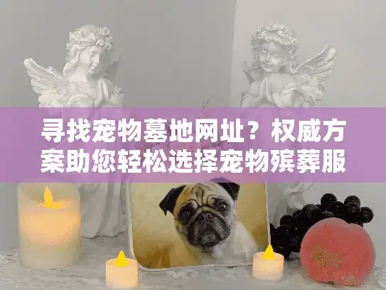 寻找宠物墓地网址？权威方案助您轻松选择宠物殡葬服务