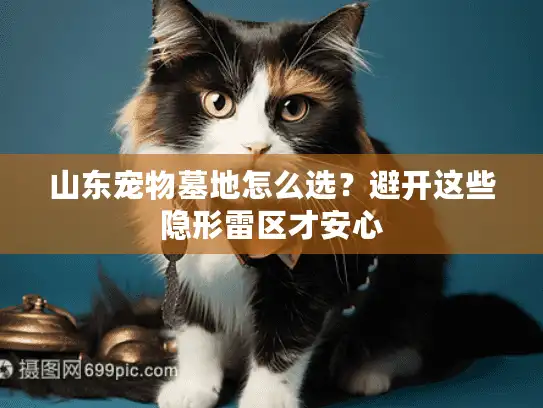 山东宠物墓地怎么选？避开这些隐形雷区才安心