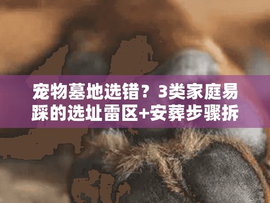 宠物墓地选错?3类家庭易踩的选址雷区+安葬步骤拆解 宠物墓地选错?3类家庭易踩的选址雷区+安葬步骤拆解