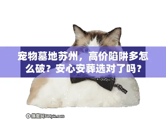 宠物墓地苏州,高价陷阱多怎么破?安心安葬选对了吗? 宠物墓地苏州,高价陷阱多怎么破?安心安葬选对了吗?