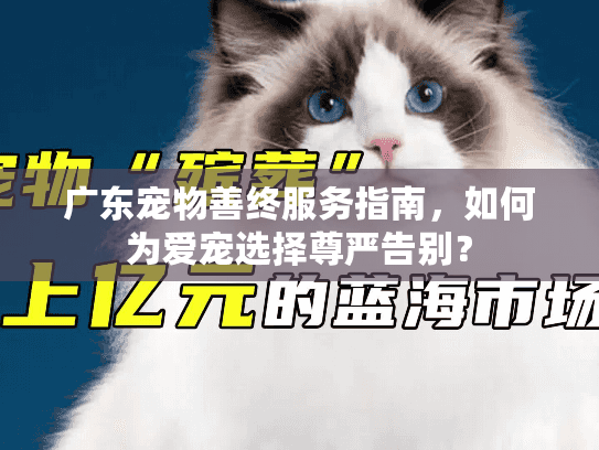 广东宠物善终服务指南，如何为爱宠选择尊严告别？