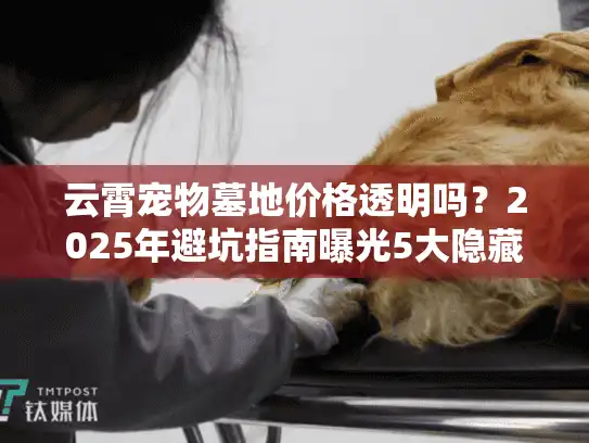 云霄宠物墓地价格透明吗？2025年避坑指南曝光5大隐藏收费
