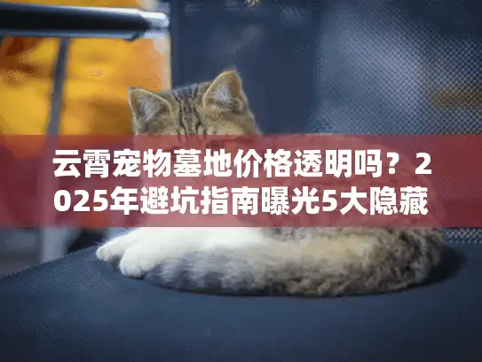 云霄宠物墓地价格透明吗？2025年避坑指南曝光5大隐藏收费