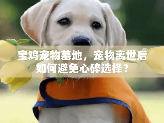 宝鸡宠物墓地，宠物离世后如何避免心碎选择？