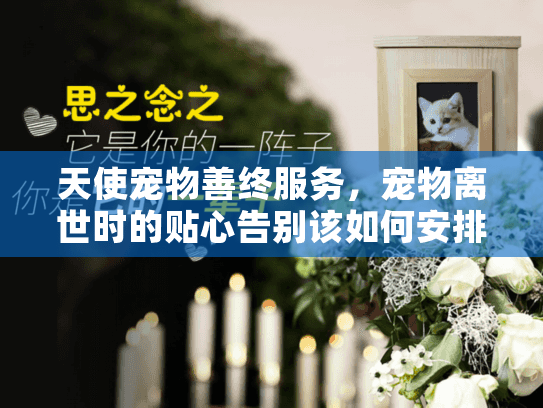 天使宠物善终服务，宠物离世时的贴心告别该如何安排？