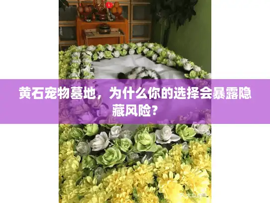 黄石宠物墓地，为什么你的选择会暴露隐藏风险？