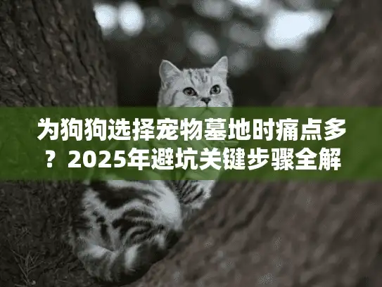 为狗狗选择宠物墓地时痛点多?2025年避坑关键步骤全解 为狗狗选择宠物墓地时痛点多?2025年避坑关键步骤全解