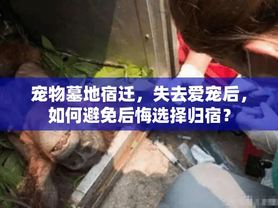 宠物墓地宿迁，失去爱宠后，如何避免后悔选择归宿？