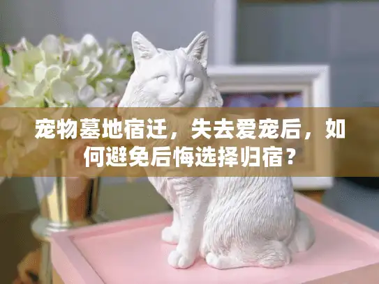 宠物墓地宿迁，失去爱宠后，如何避免后悔选择归宿？
