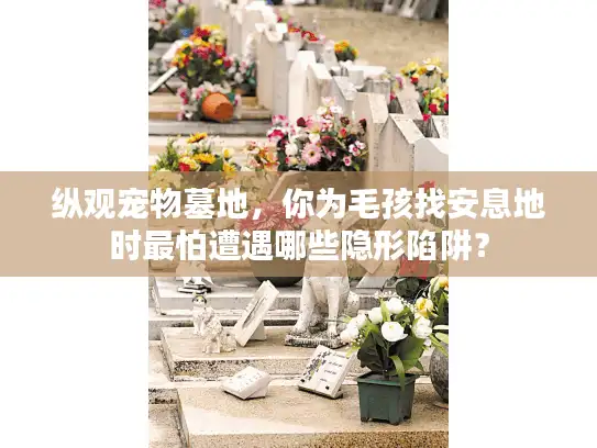 纵观宠物墓地，你为毛孩找安息地时最怕遭遇哪些隐形陷阱？