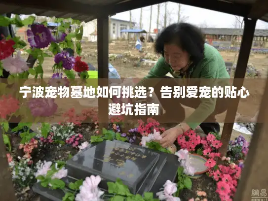 宁波宠物墓地如何挑选？告别爱宠的贴心避坑指南