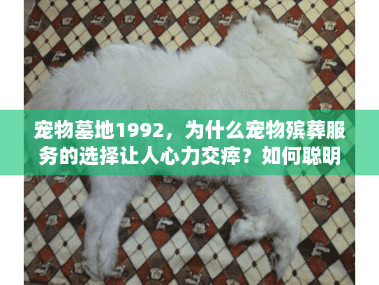 宠物墓地1992，为什么宠物殡葬服务的选择让人心力交瘁？如何聪明避开高价和失望陷阱？
