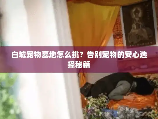 白城宠物墓地怎么挑?告别宠物的安心选择秘籍 白城宠物墓地怎么挑?告别宠物的安心选择秘籍