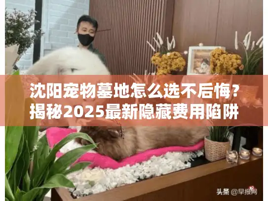 沈阳宠物墓地怎么选不后悔?揭秘2025最新隐藏费用陷阱 沈阳宠物墓地怎么选不后悔?揭秘2025最新隐藏费用陷阱