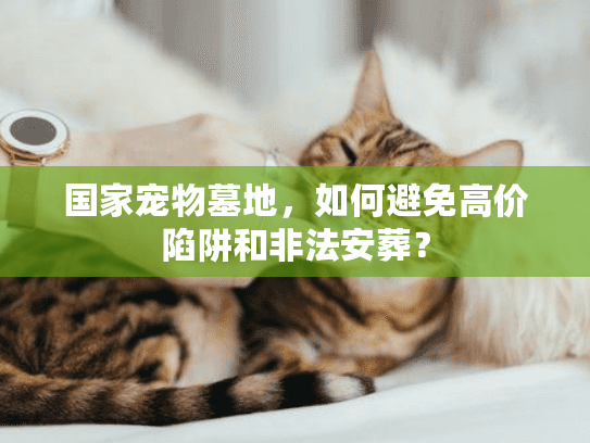 国家宠物墓地，如何避免高价陷阱和非法安葬？
