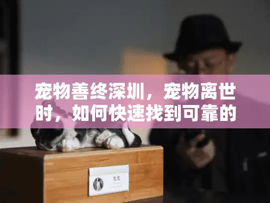 宠物善终深圳,宠物离世时,如何快速找到可靠的火化服务? 宠物善终深圳,宠物离世时,如何快速找到可靠的火化服务?